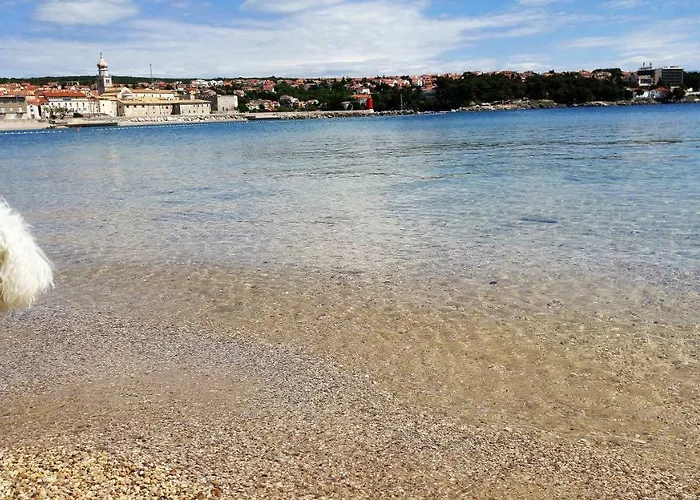 The Golden Island